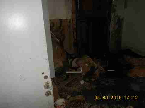 6637 Majestic (26)_m.jpg